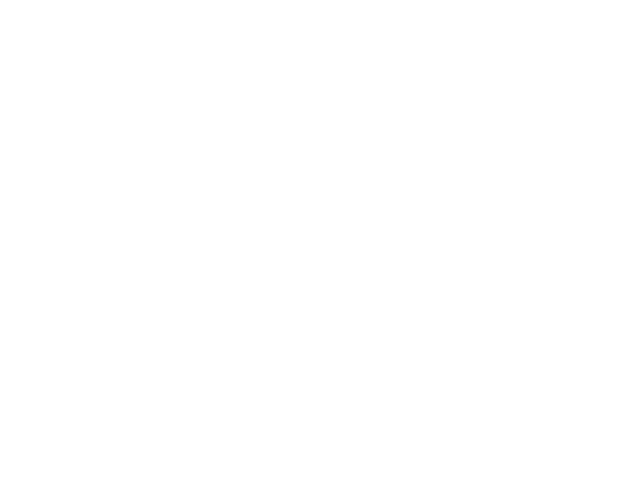 Le Westfield Mall of the Netherlands prouve le r le vital du magasin physique