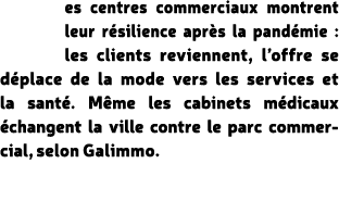 es centres commerciaux montrent leur r silience apr s la pand mie : les clients reviennent, l’offre se d place de la ...