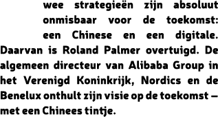 wee strategie n zijn absoluut onmisbaar voor de toekomst: een Chinese en een digitale. Daarvan is Roland Palmer overt...