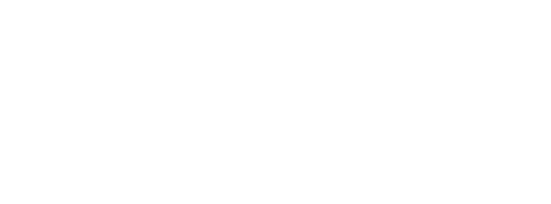 De bomen door het bos blijven zien
