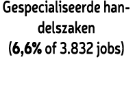 Gespecialiseerde handelszaken (6,6% of 3.832 jobs)