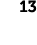 13