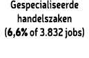 Gespecialiseerde handelszaken (6,6% of 3.832 jobs)