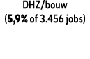 DHZ/bouw (5,9% of 3.456 jobs)