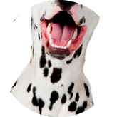 studio shot with white background