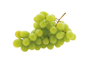 Green grape fruit isolated on white background