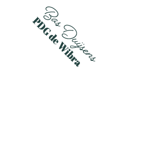 Bas Duijsens PDG de Wibra