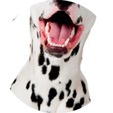 studio shot with white background