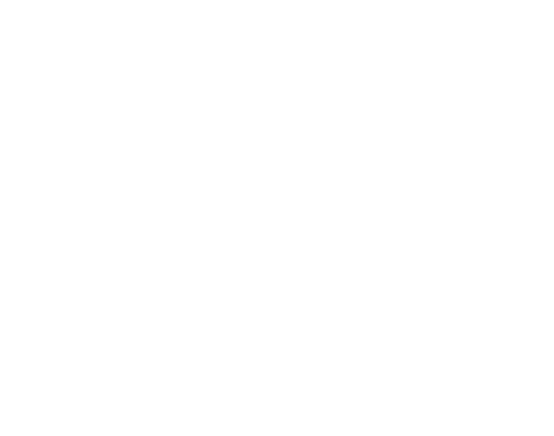 Doordat we digitaal zijn, kunnen we verser zijn dan wie ook